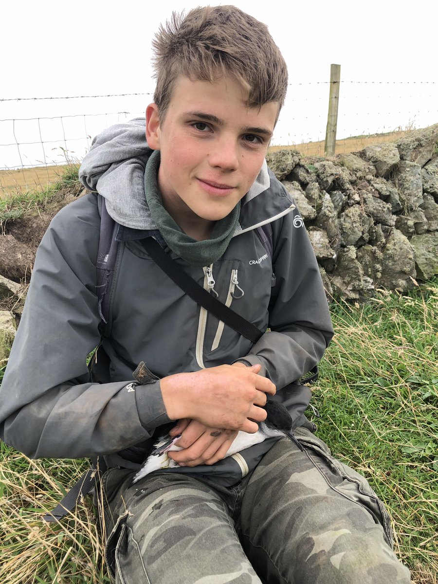 George Thomaas ringing a  Manx Shearwater. Photo: Josh Hill