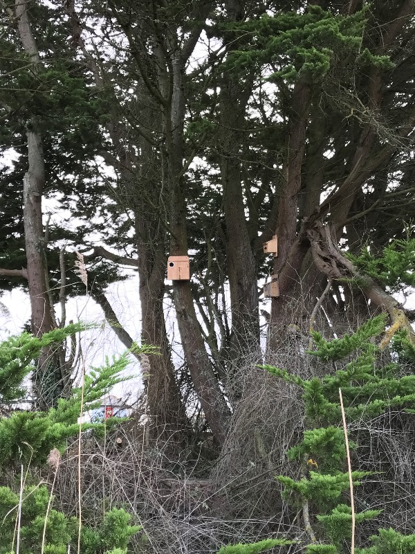 Milford Bird Observatory