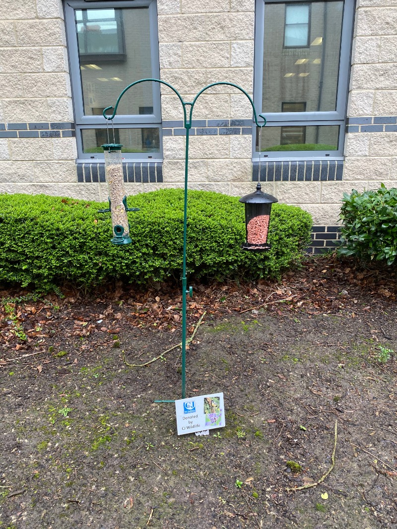 School Bird Feeders