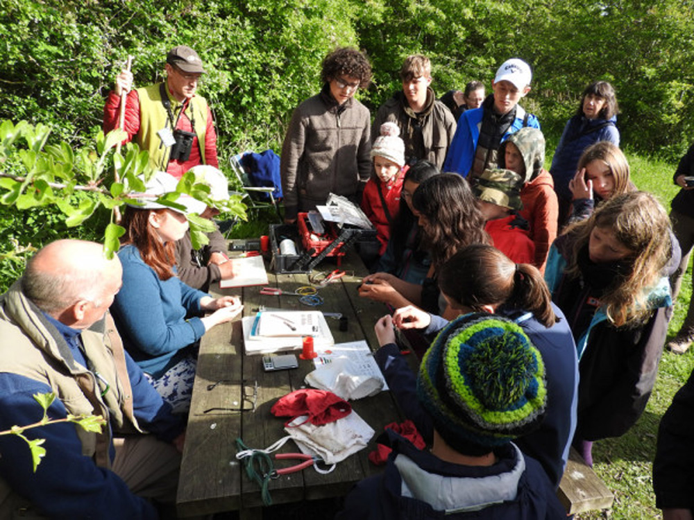 Scottish bird camp ringing demonstration