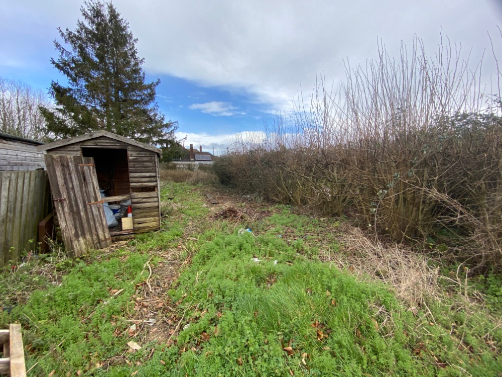 Wildlife Area, neighbouring the old caretaker’s cottage 