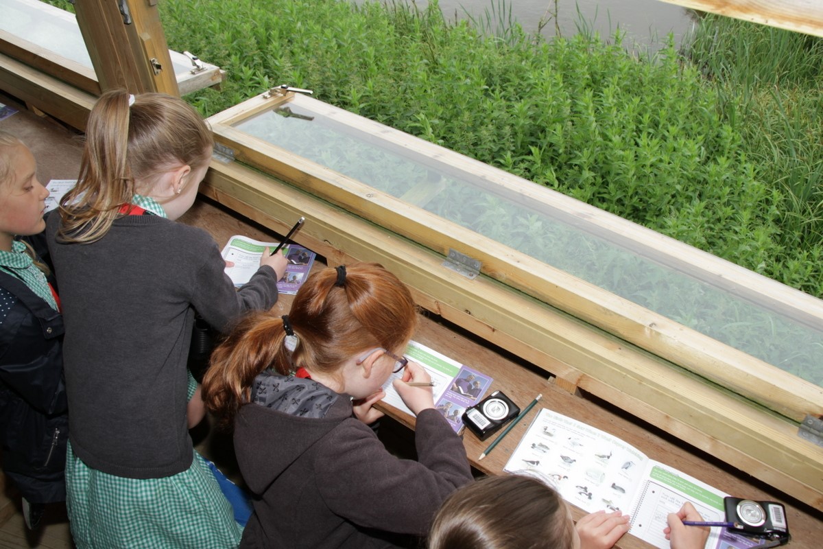 Eager youngsters fill in their bird lists