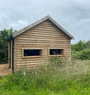 Hengistbury Head Bird Hide