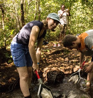 Invertebrate Sampling- Kisiba