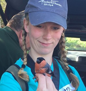 New Forest Wildlife Camp