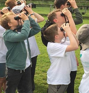 New Forest Wildlife Camp