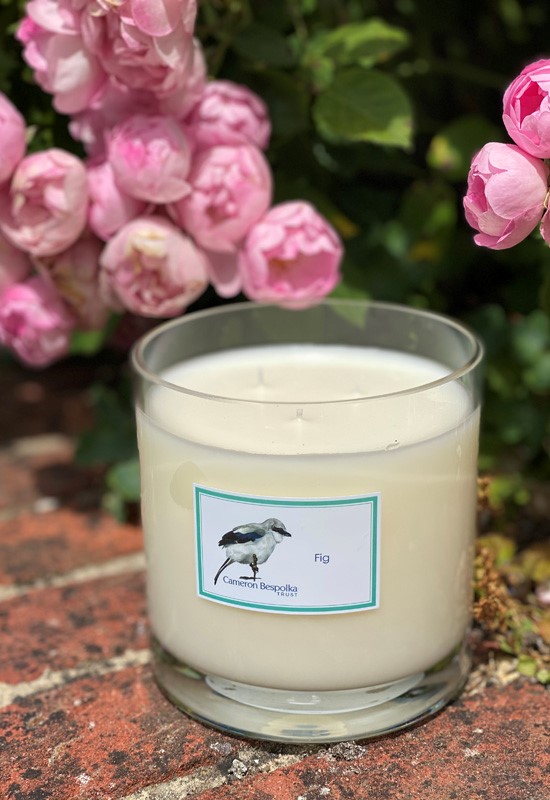 Fig Three wick candle
