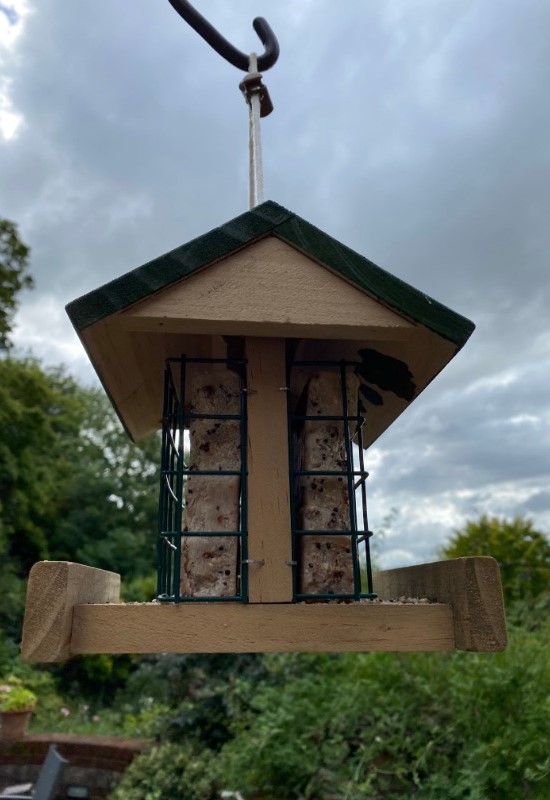Bird Feeder