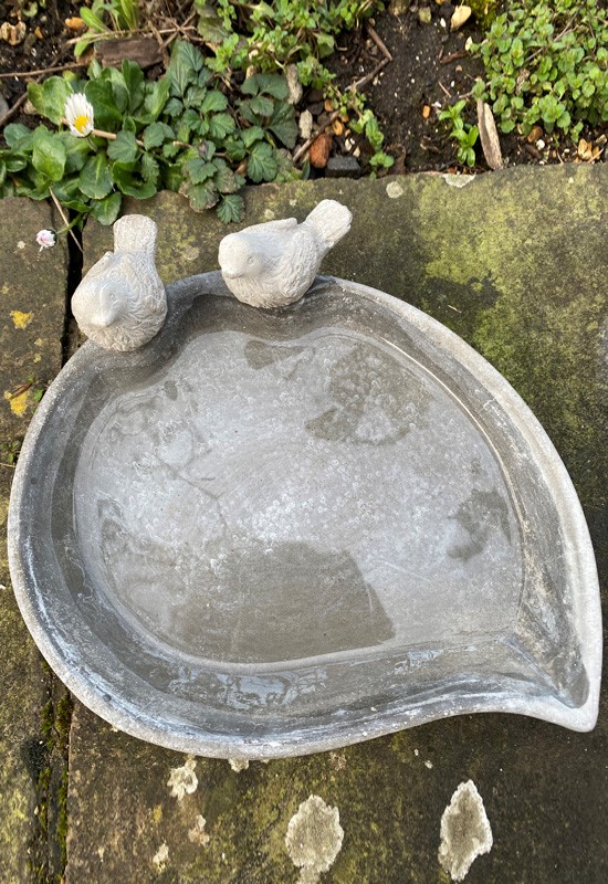 Bird bath