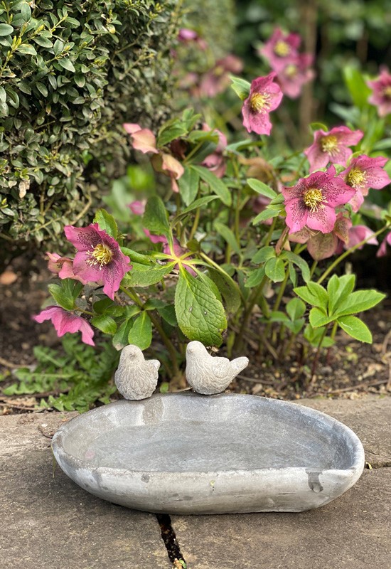 Bird bath