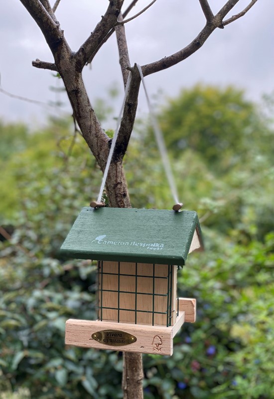 Bird Feeder