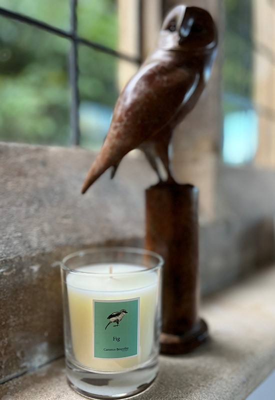 Fig Candle