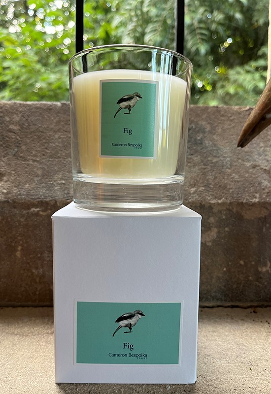 Fig Candle