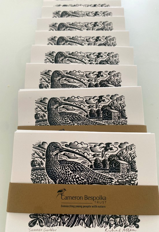 Curlew Cards by Richard Allen