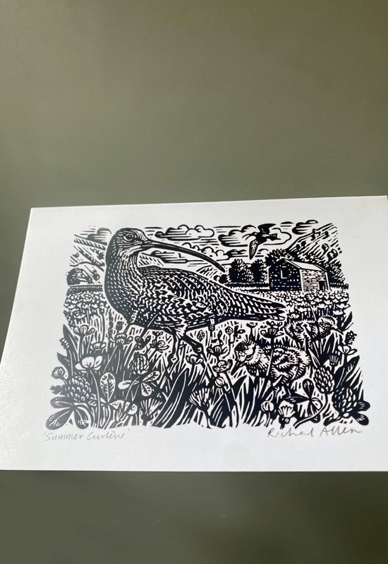 Curlew Cards by Richard Allen