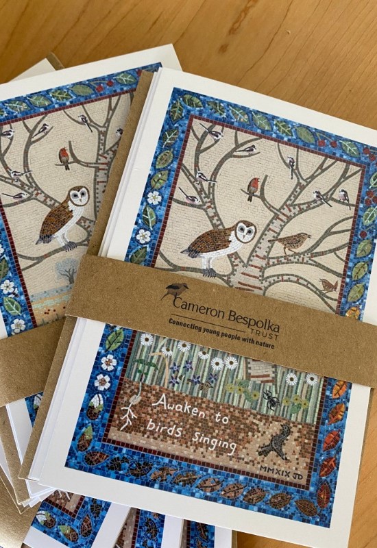 Mosaic Cards by Joanna Dewfall 