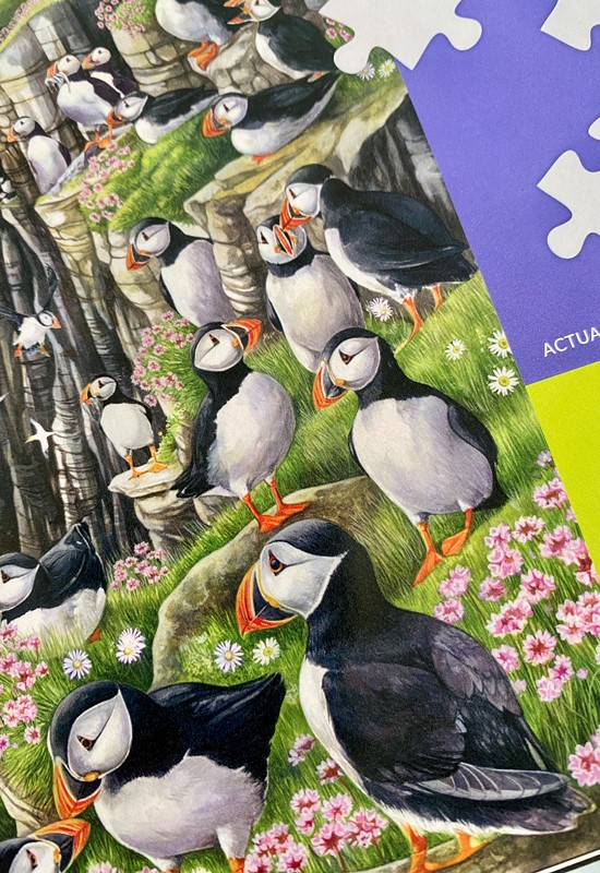 Puffin Puzzle