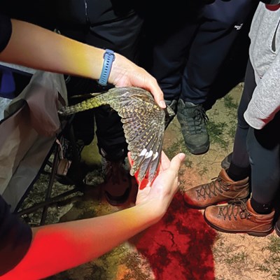 Photo: Rachael Griffiths/BTO