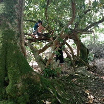 Spending time in nature helps the young carers decompress