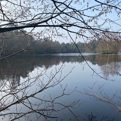 Approach to the cottage