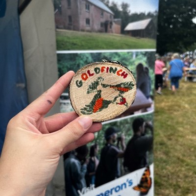 The reserve lake is teeming with pondlife