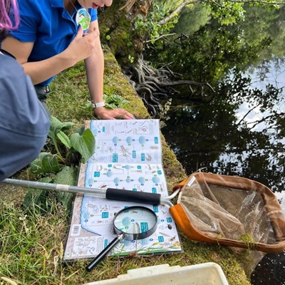 The reserve lake is teeming with pondlife