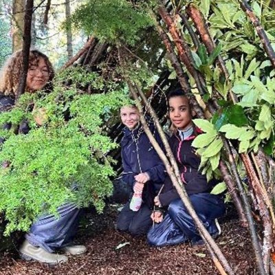 Building shelters from branches 