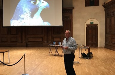 Peregrine Falcons and Red Kites Talk