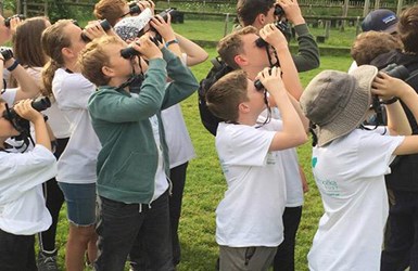 New Forest Wildlife Camp