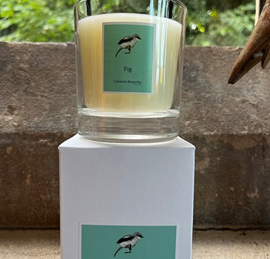 Fig Candle