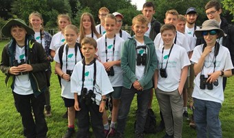 New Forest Wildlife Camp