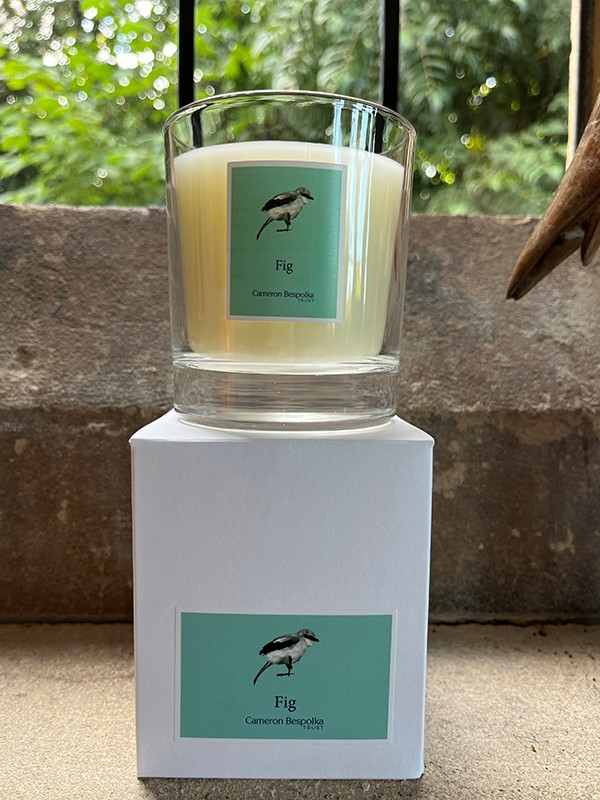 Fig Candle