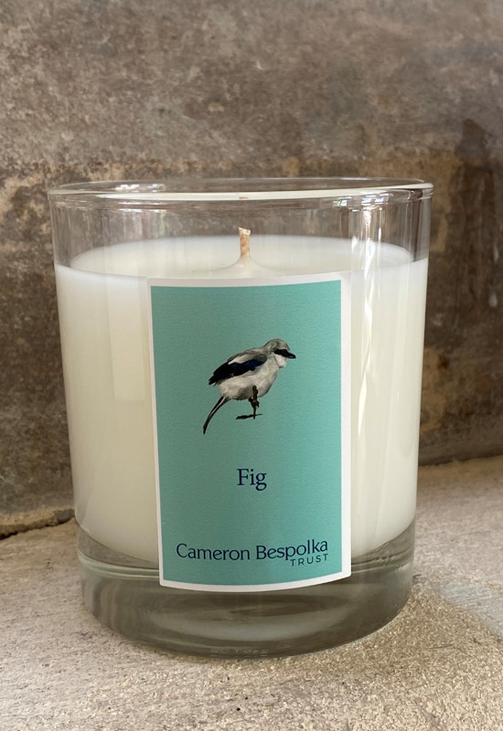 Fig Candle