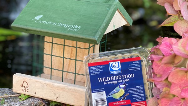 Bird Feeder