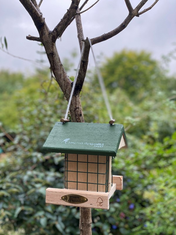 Bird Feeder