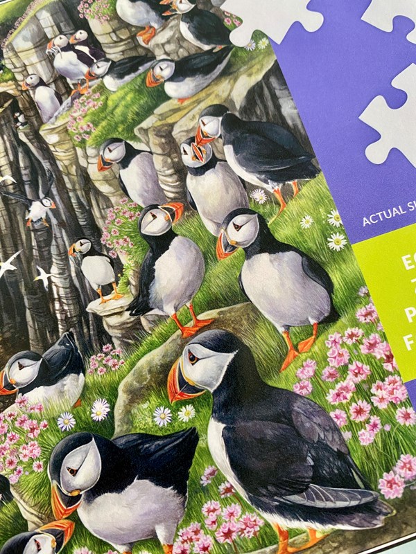 Puffin Puzzle