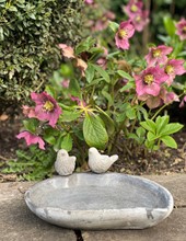 Bird bath