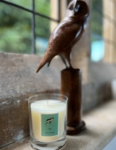 Fig Candle