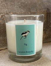 Fig Candle