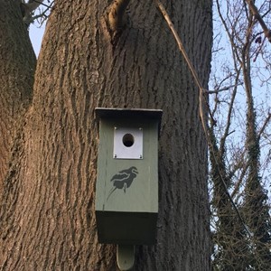 Ellie Mickelwright Bird Box