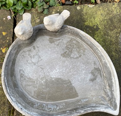 Bird bath