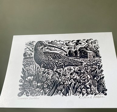 Curlew Cards by Richard Allen