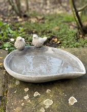 Bird bath