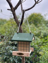 Bird Feeder