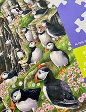 Puffin Puzzle