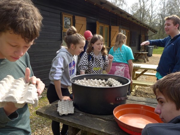 Looking at the light trap