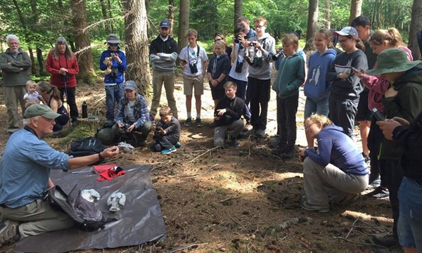 New Forest Wildlife Camp