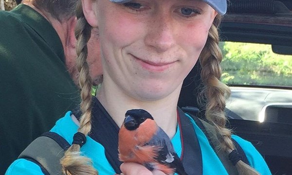 New Forest Wildlife Camp