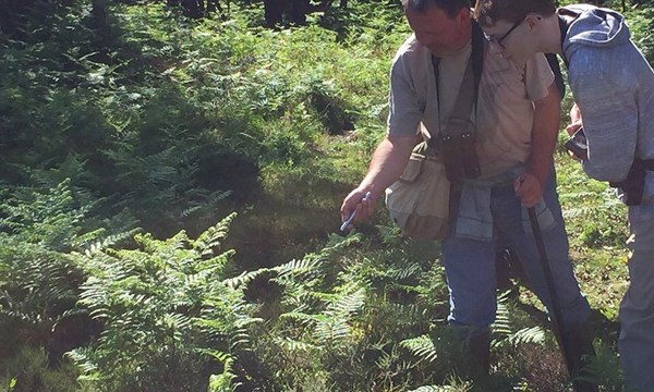 New Forest Wildlife Camp