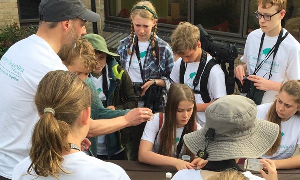 New Forest Wildlife Camp